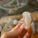 How to peel and prep shrimp | www.thefreshfind.com