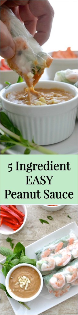 Easy Peanut Sauce recipe with only FIVE ingredients! | www.thefreshfind.com