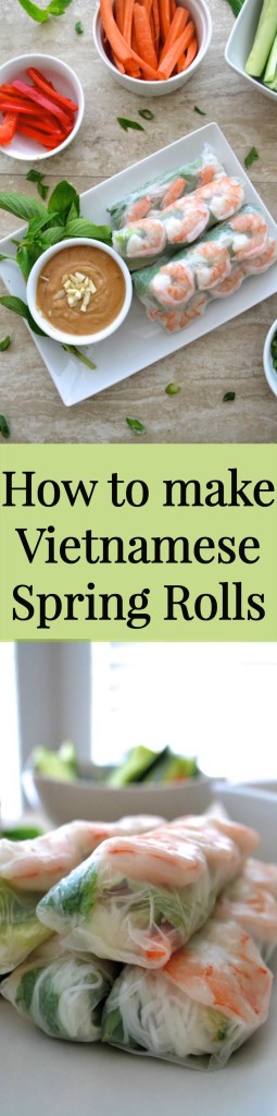 How to make Vietnamese Spring Rolls- a step-by-step recipe to a fun and delicious dinner! We loved making these! | thefreshfind.com