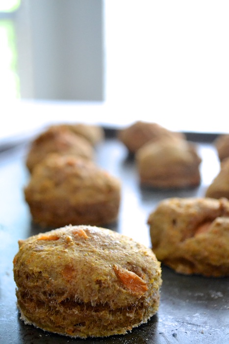 Whole Wheat Sweet Potato Biscuits- pillowy soft and heavenly! | www.thefreshfind.com