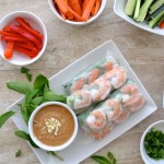 Vietnamese Spring Rolls- a simple recipe for an interactive dinner. We had SO much fun making these! | www.thefreshfind.com