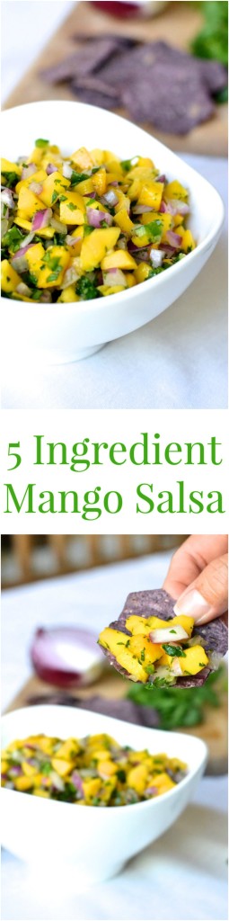 5 Ingredient Mango Salsa | thefreshfind.com