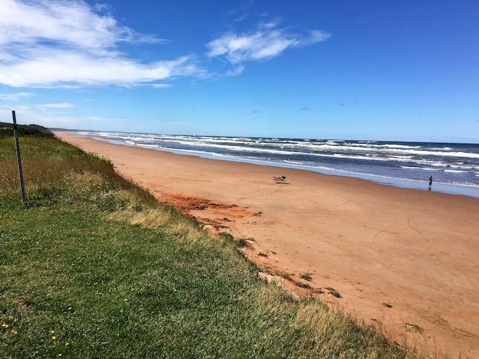 PEI National Park | Charlottetown, Prince Edward Island | thefreshfind.com