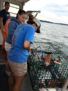 Lucky Catch Cruises | Portland Maine | thefreshfind.com