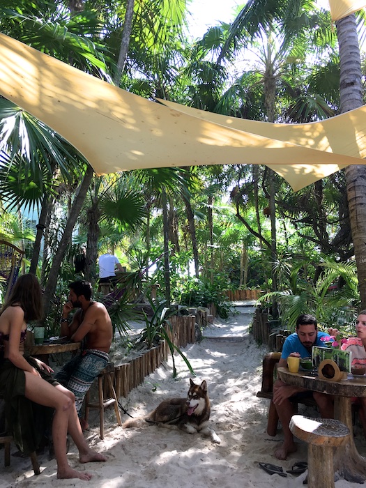 Raw Love Cafe | Where to Eat in Tulum | thefreshfind.com