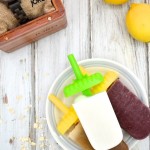Blueberry Coconut Popsicles | thefreshfind.com